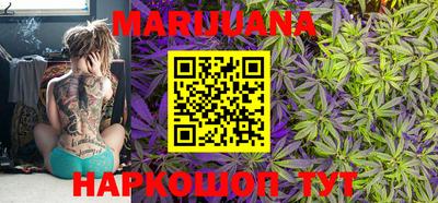 дживик Моздок