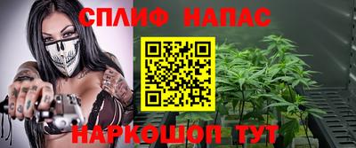 дживик Моздок