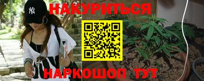 дживик Моздок