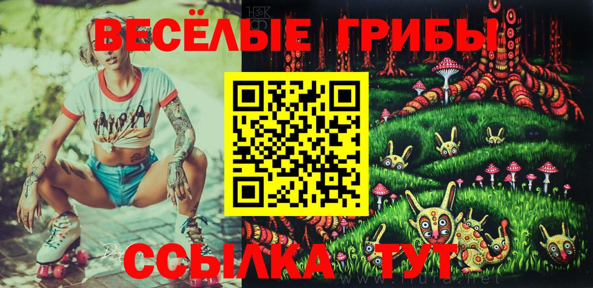 Псилоцибиновые грибы Cubensis Сочи
