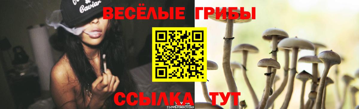 Галлюциногенные грибы прущие грибы  Псилоцибиновые грибы Cubensis  Сочи  Вход с VPN 